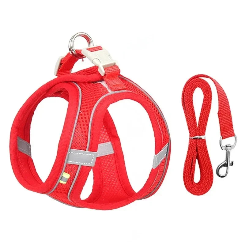 Breathable Pet Harness & Leash Set – Adjustable Safety Vest for Dogs & Cats