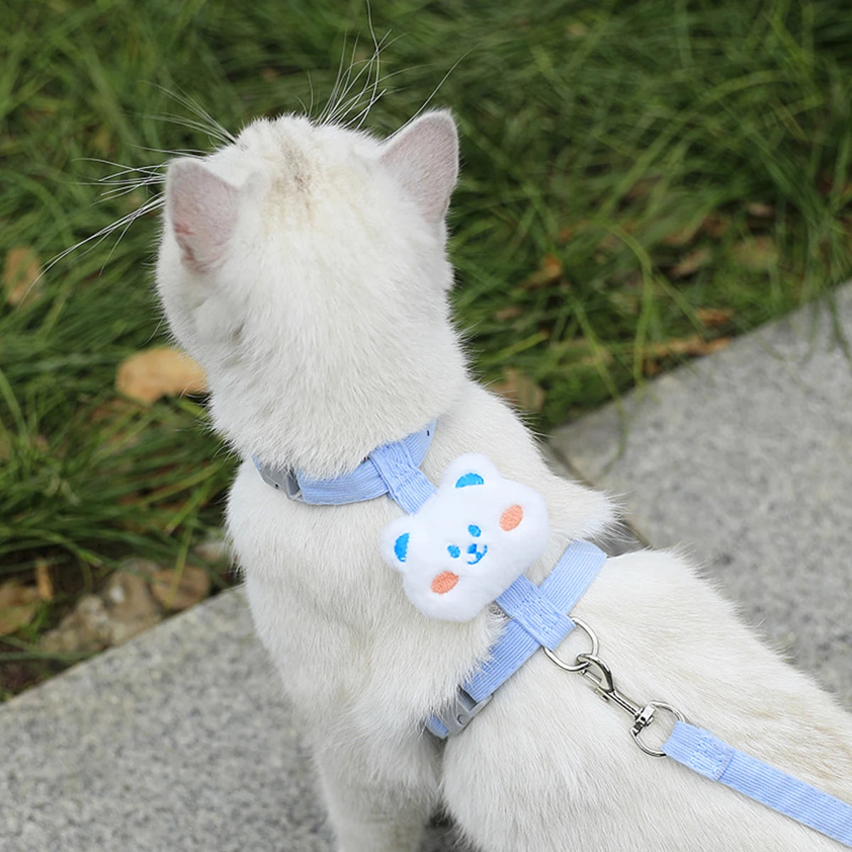 Adjustable Pet Harness & Leash Set – Breathable Walking Vest for Cats & Small Dogs