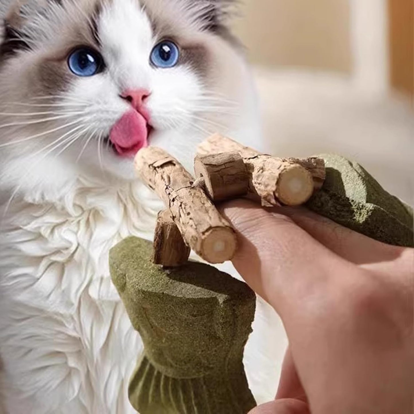 Fishbone Cat Chew Toy – Bite-Resistant Dental Toy for Cats