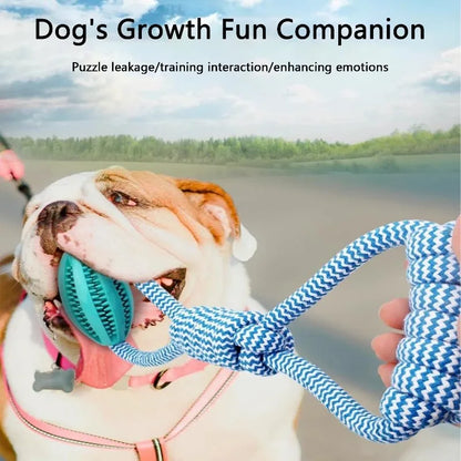 Rope Chew Toy Ball for Dogs – Dental & Treat Dispenser