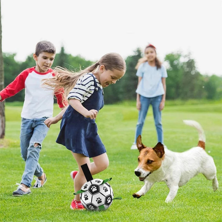 Interactive Dog Football Toy with Grab Tabs for Outdoor Play