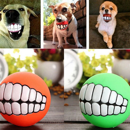 Funny Squeaky Dog Ball – Chew Toy for Dogs & Puppies