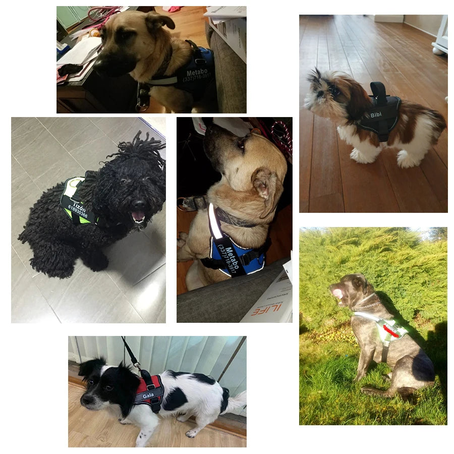 No-Pull Reflective Dog Harness – Adjustable Breathable Vest with Custom ID Patch