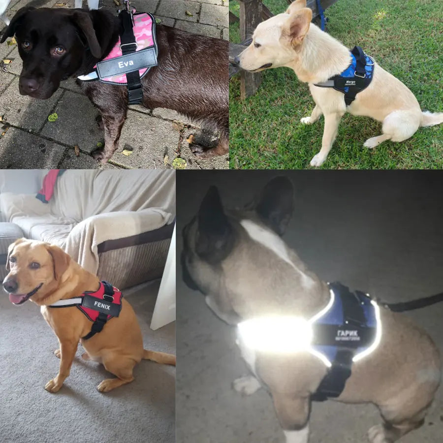 No-Pull Reflective Dog Harness – Adjustable Breathable Vest with Custom ID Patch