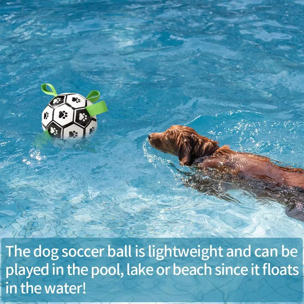 Interactive Dog Football Toy with Grab Tabs for Outdoor Play