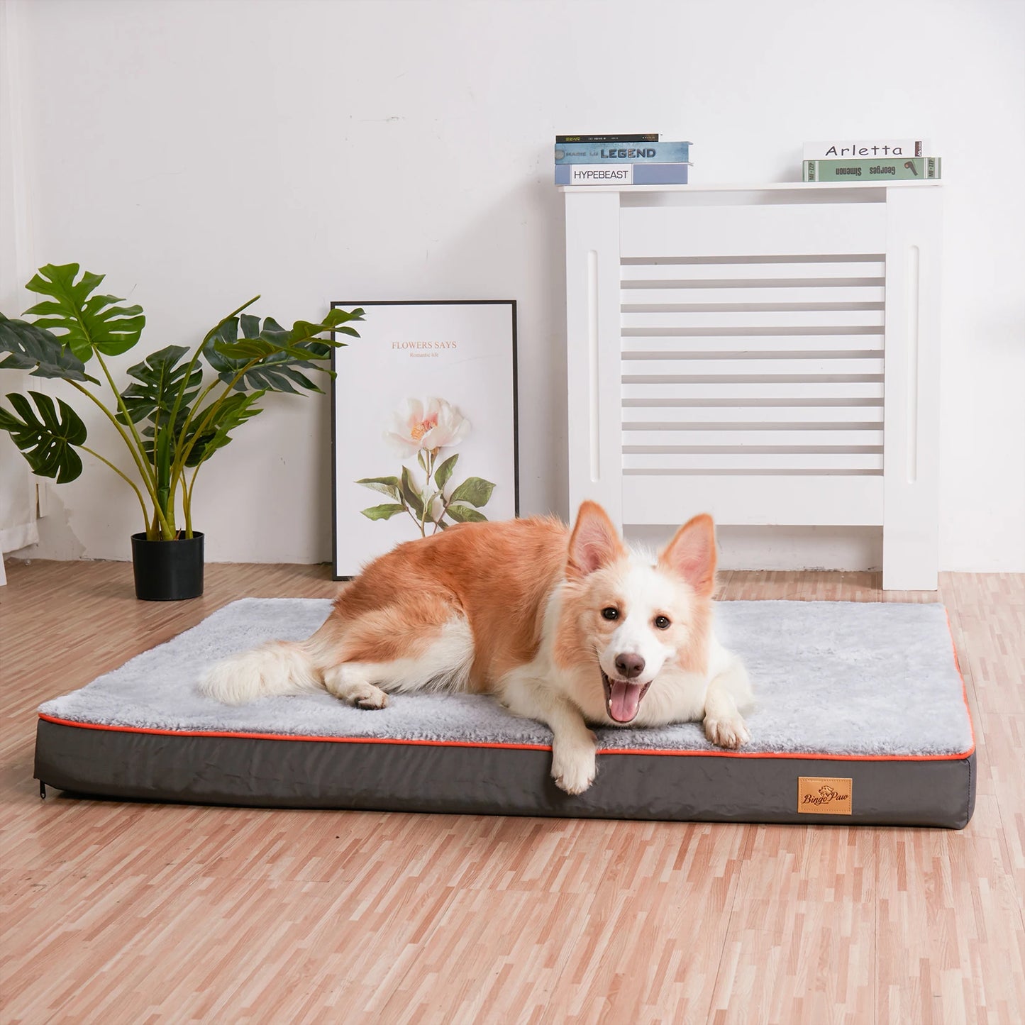 Orthopedic Memory Foam Dog Bed with Waterproof Washable Cover