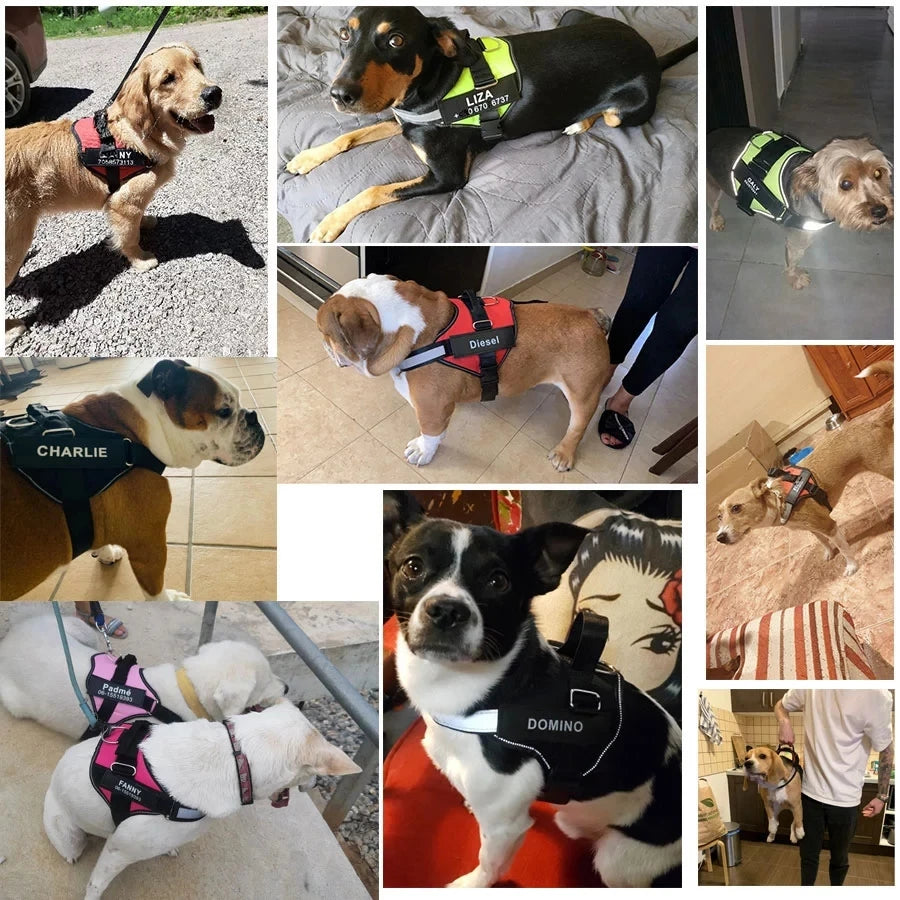 No-Pull Reflective Dog Harness – Adjustable Breathable Vest with Custom ID Patch
