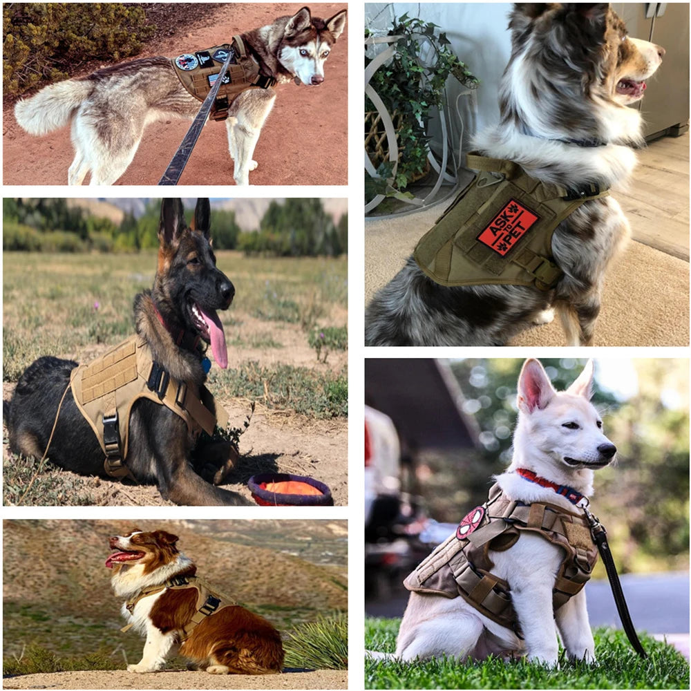 Tactical Dog Harness Set – Military Vest, Collar, Leash & Pouches