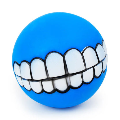 Funny Squeaky Dog Ball – Chew Toy for Dogs & Puppies
