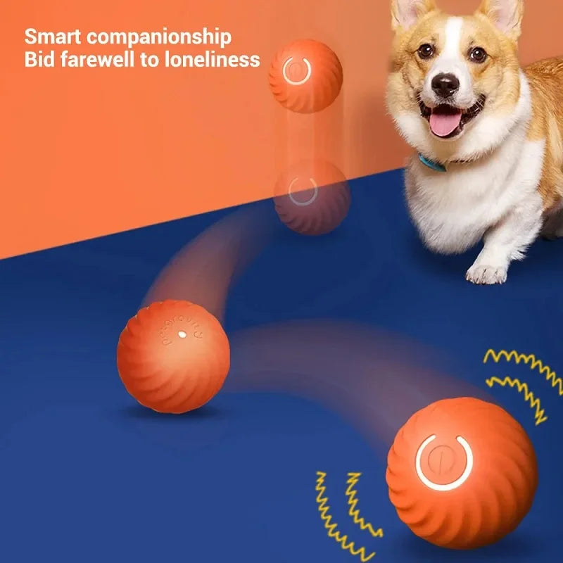 Smart Interactive Dog Ball – Automatic Rolling & Bouncing USB Toy