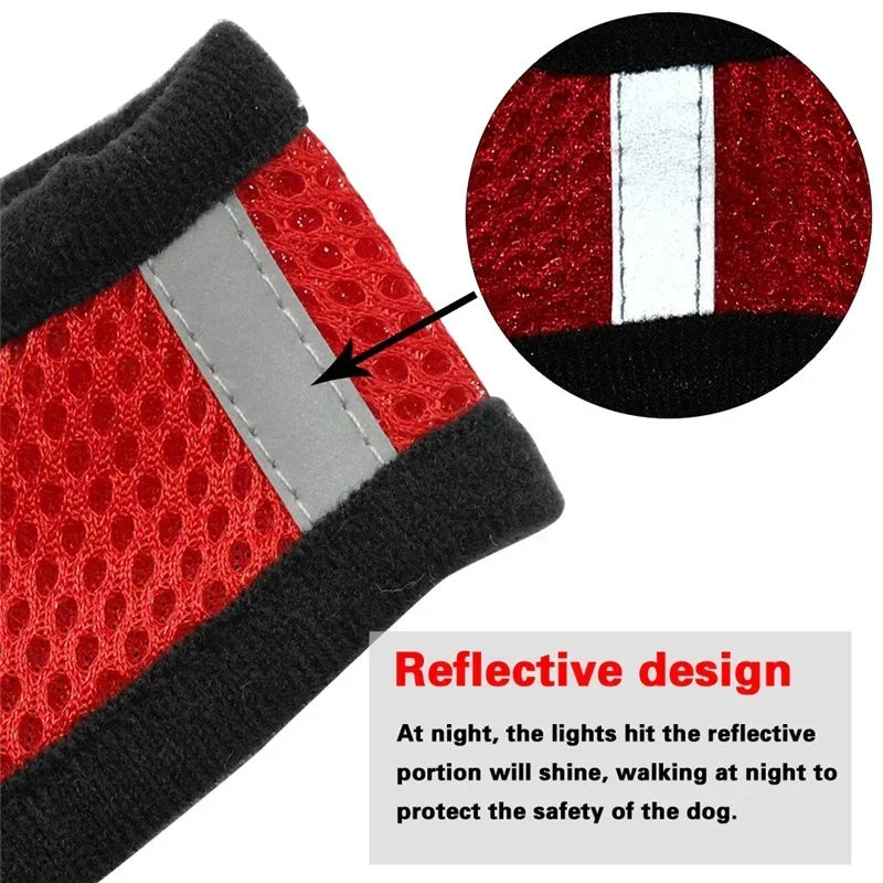 Adjustable Mesh Pet Harness & Leash – Breathable Walking Vest for Small & Medium Pets