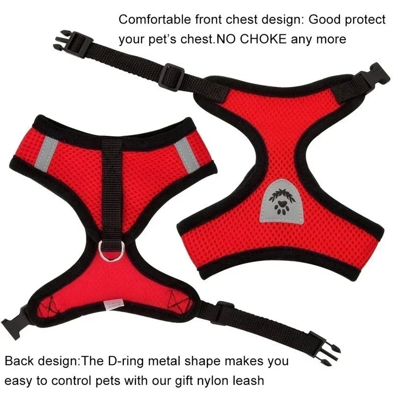 Adjustable Mesh Pet Harness & Leash – Breathable Walking Vest for Small & Medium Pets