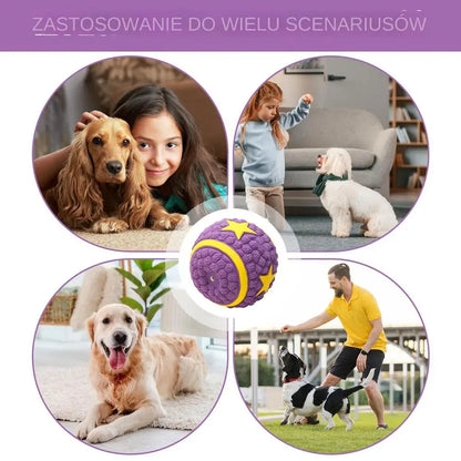 Interactive Dog Ball Toy – Tough Bouncy Chew Ball for Puppies