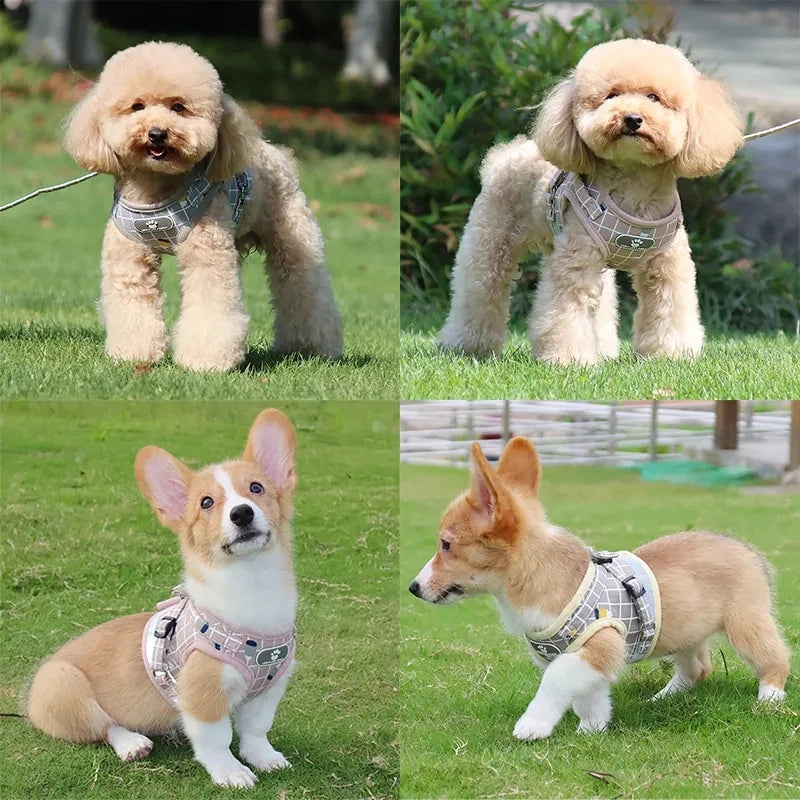 Reflective Pet Harness & Leash Set – Breathable Vest for Small Dogs & Cats
