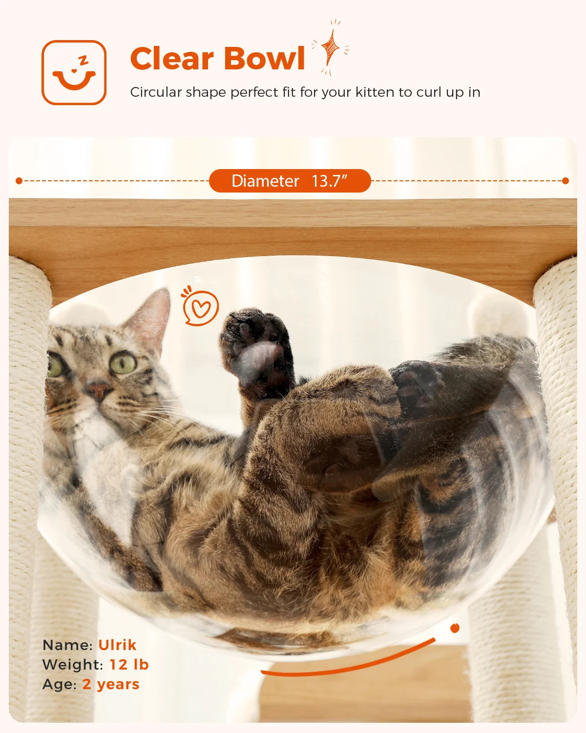 Multi-Level Cat Tree with Condo, Hammock & Scratching Posts