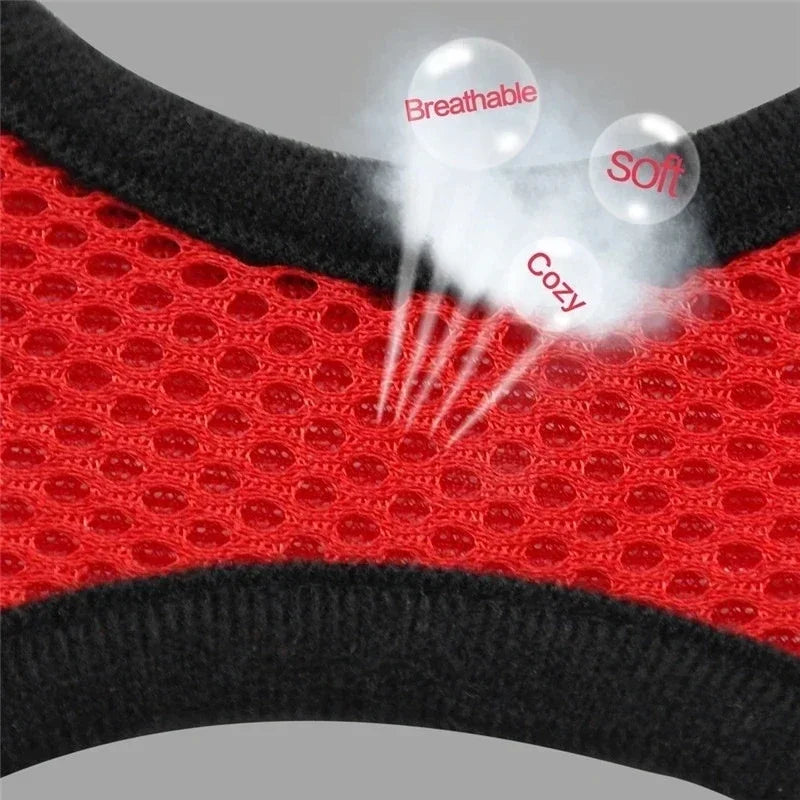 Adjustable Mesh Pet Harness & Leash – Breathable Walking Vest for Small & Medium Pets