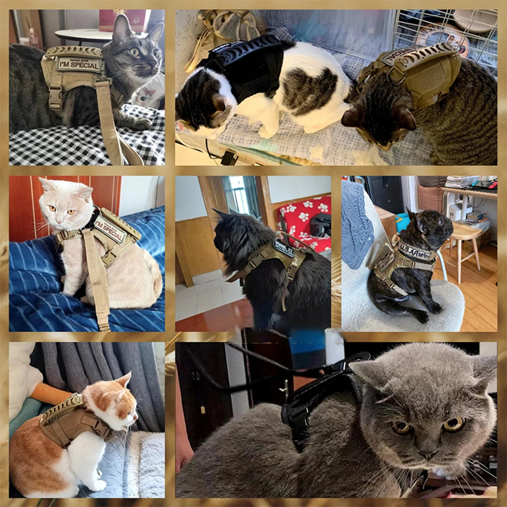 Tactical Cat & Dog Harness with Control Handle