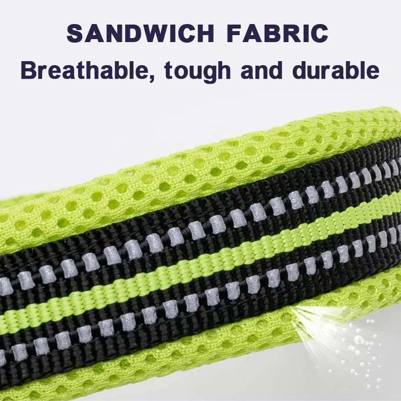 Padded Tactical Dog Collar – Adjustable Nylon Walking Collar for All Sizes