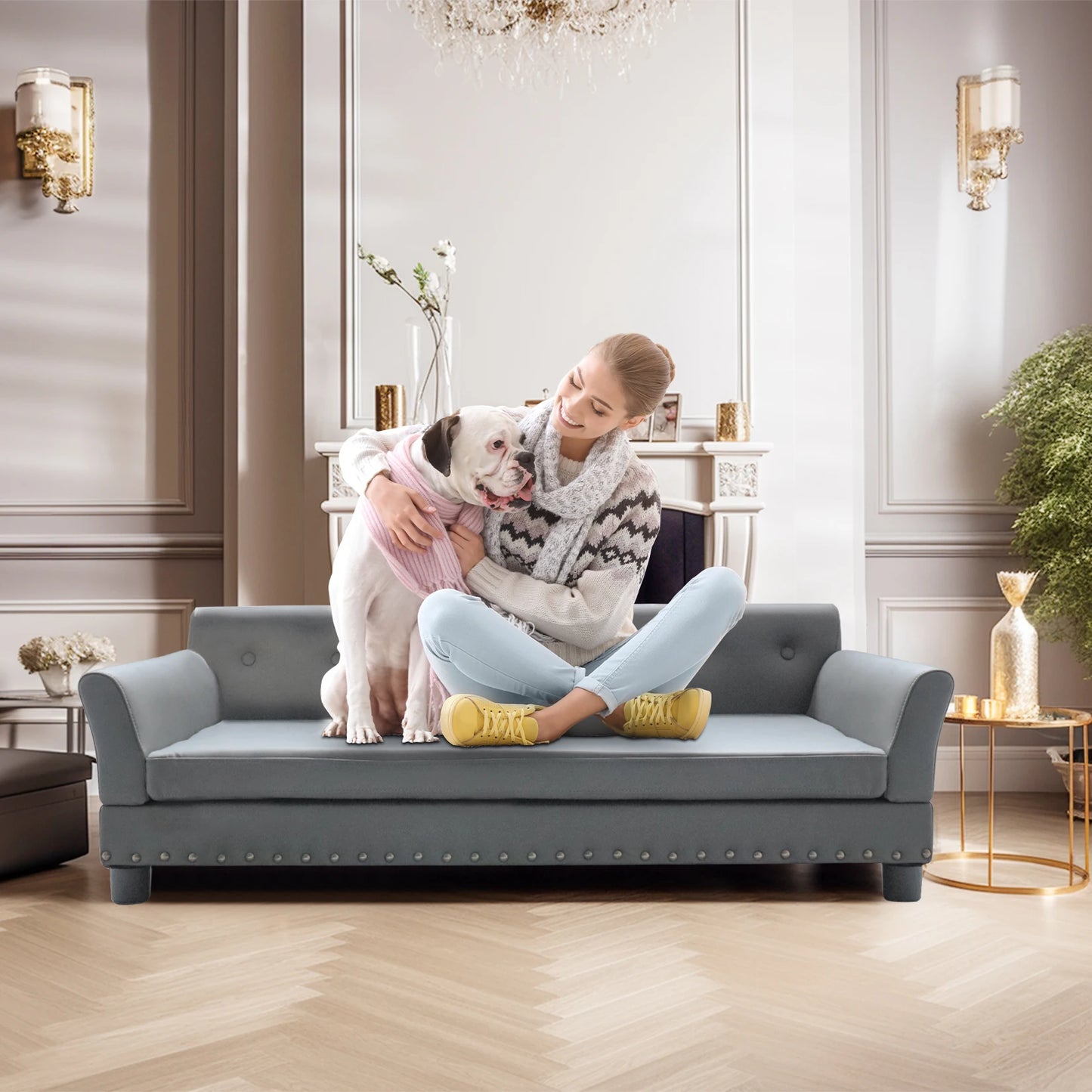 Modern Elevated Dog Sofa Bed for Medium & Large Dogs