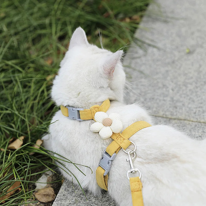 Adjustable Pet Harness & Leash Set – Breathable Walking Vest for Cats & Small Dogs