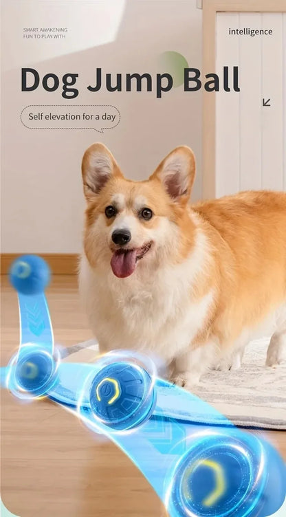 **Smart Interactive Dog Ball – USB Rechargeable Bouncing Toy for Puppies**