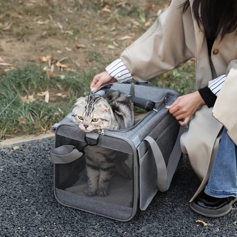 Expandable Pet Travel Carrier Bag with Breathable Transparent Design