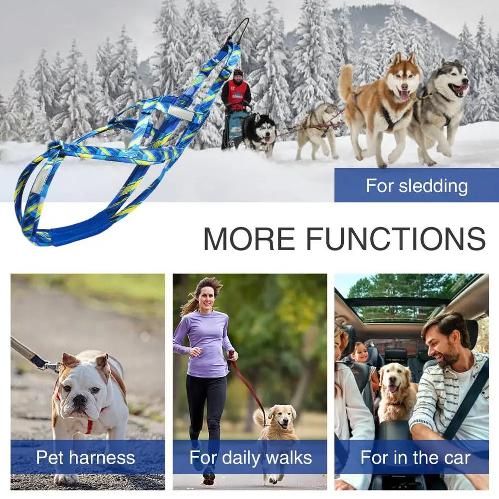Dog Running Harness No-Pull Sport Training Bikejoring Skijoring Sled Harness