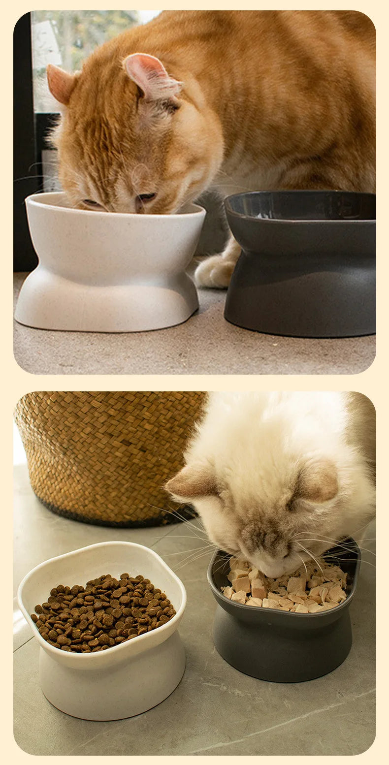 Elevated Ceramic Pet Bowl – High Foot Feeder for Cats & Small Dogs