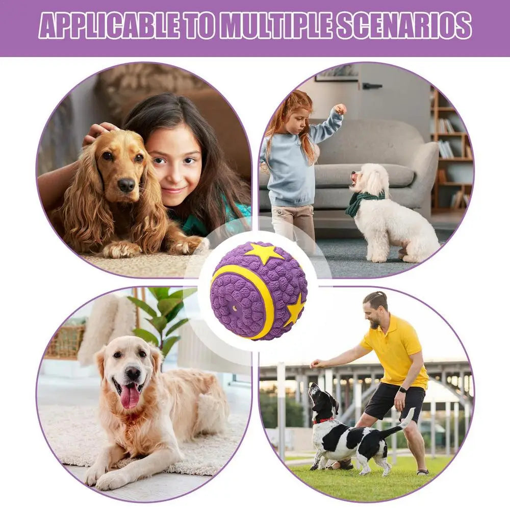 Interactive Dog Ball Toy – Tough Bouncy Chew Ball for Puppies