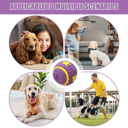 Interactive Dog Ball Toy – Tough Bouncy Chew Ball for Puppies