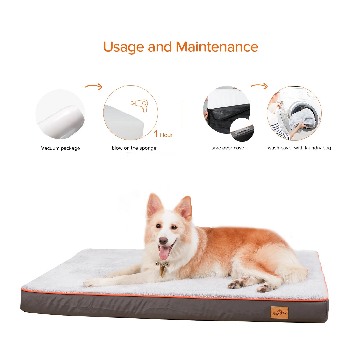 Orthopedic Memory Foam Dog Bed with Waterproof Washable Cover
