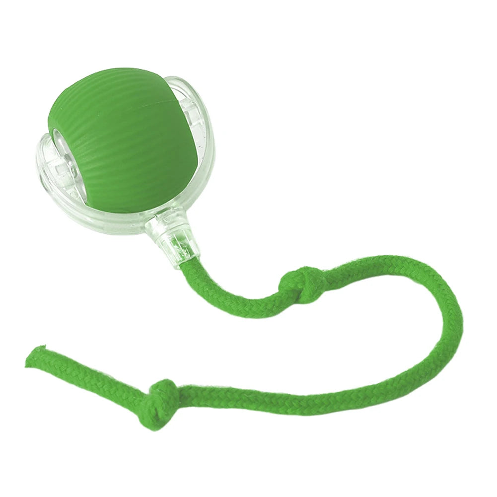 Interactive Rolling Cat Ball – Rechargeable Automatic Toy for Indoor Cats