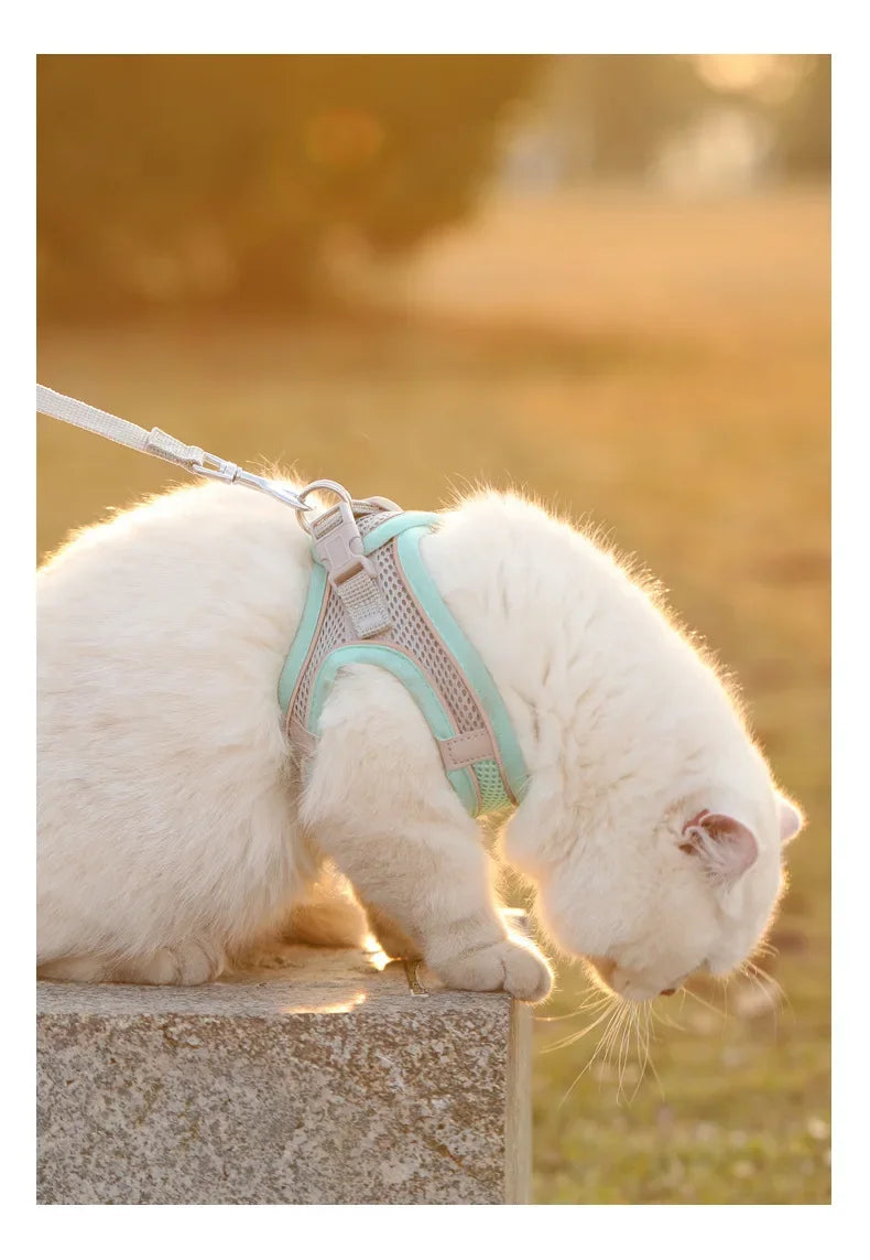 Breathable Pet Harness & Leash Set – Adjustable Safety Vest for Dogs & Cats