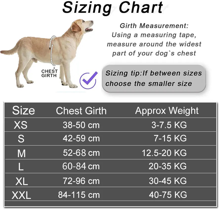 No-Pull Reflective Dog Harness – Adjustable Breathable Vest with Custom ID Patch