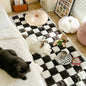 Warm Washable Anti-Slip Pet Bed & Blanket Mat for Car, Sofa & Couch