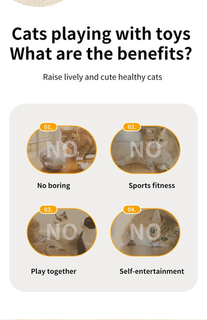 Interactive Hide & Seek Cat Toy with Motion Mouse & Feathers