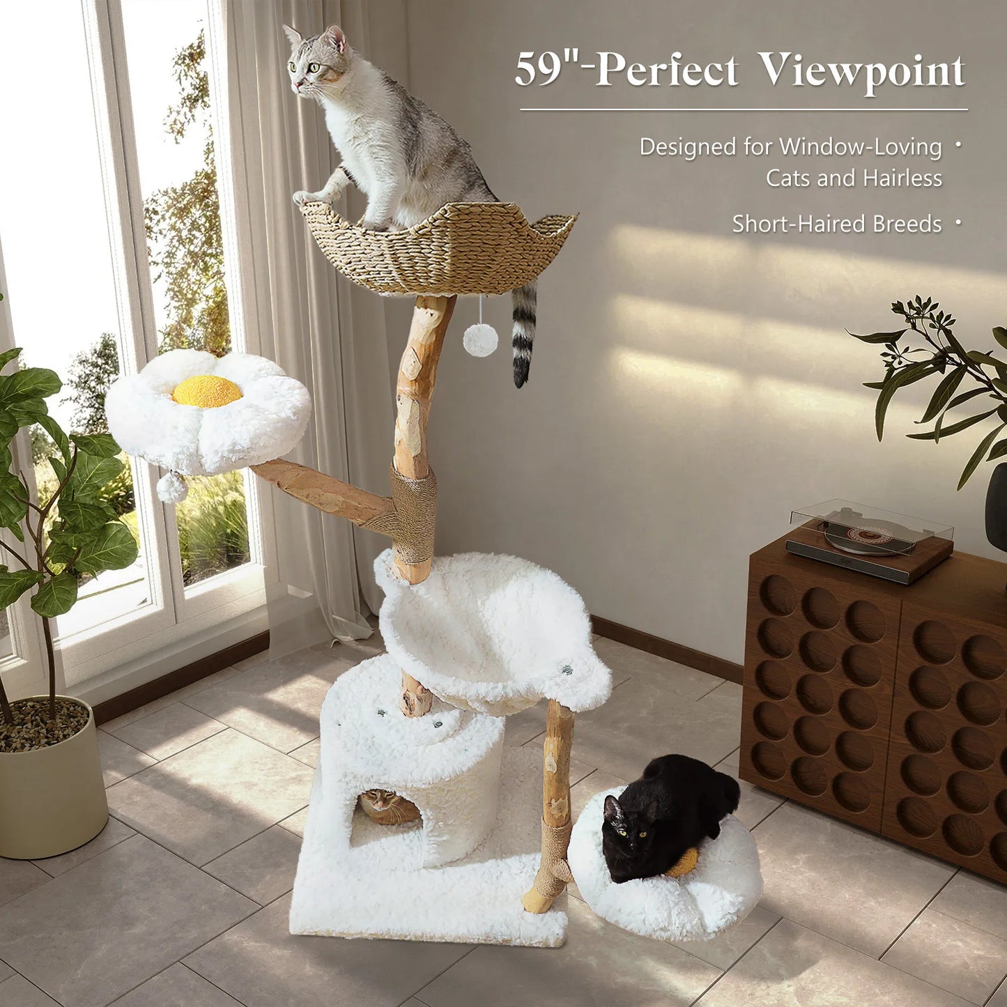 Modern Solid Wood Cat Tree – Spacious Tower with Condo, Perches & Interactive Toys