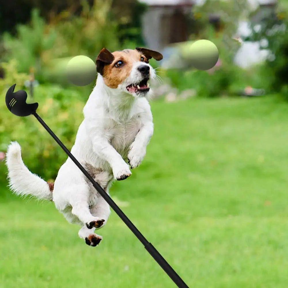 Interactive Dog Ball Launcher Toy for Outdoor Fetch Training
