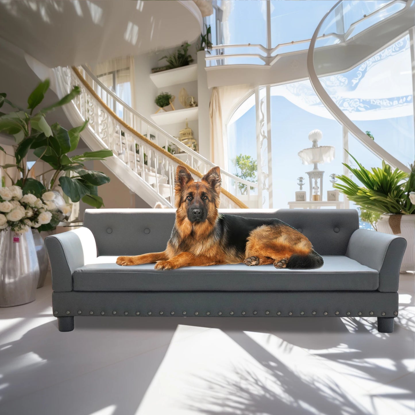 Modern Elevated Dog Sofa Bed for Medium & Large Dogs