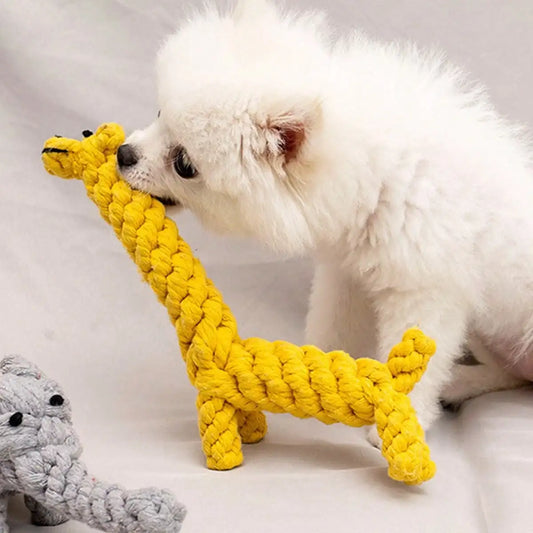Cotton Rope Knot Dog Toy – Durable Teeth Cleaning Toy for Small & Medium Dogs