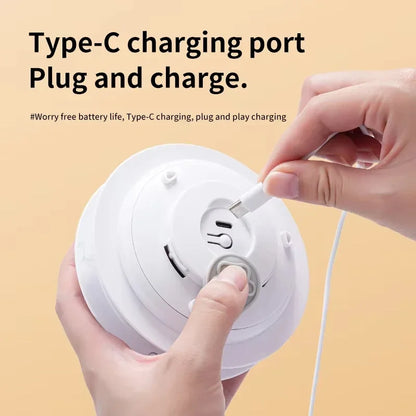 Interactive Hide & Seek Cat Toy with Motion Mouse & Feathers