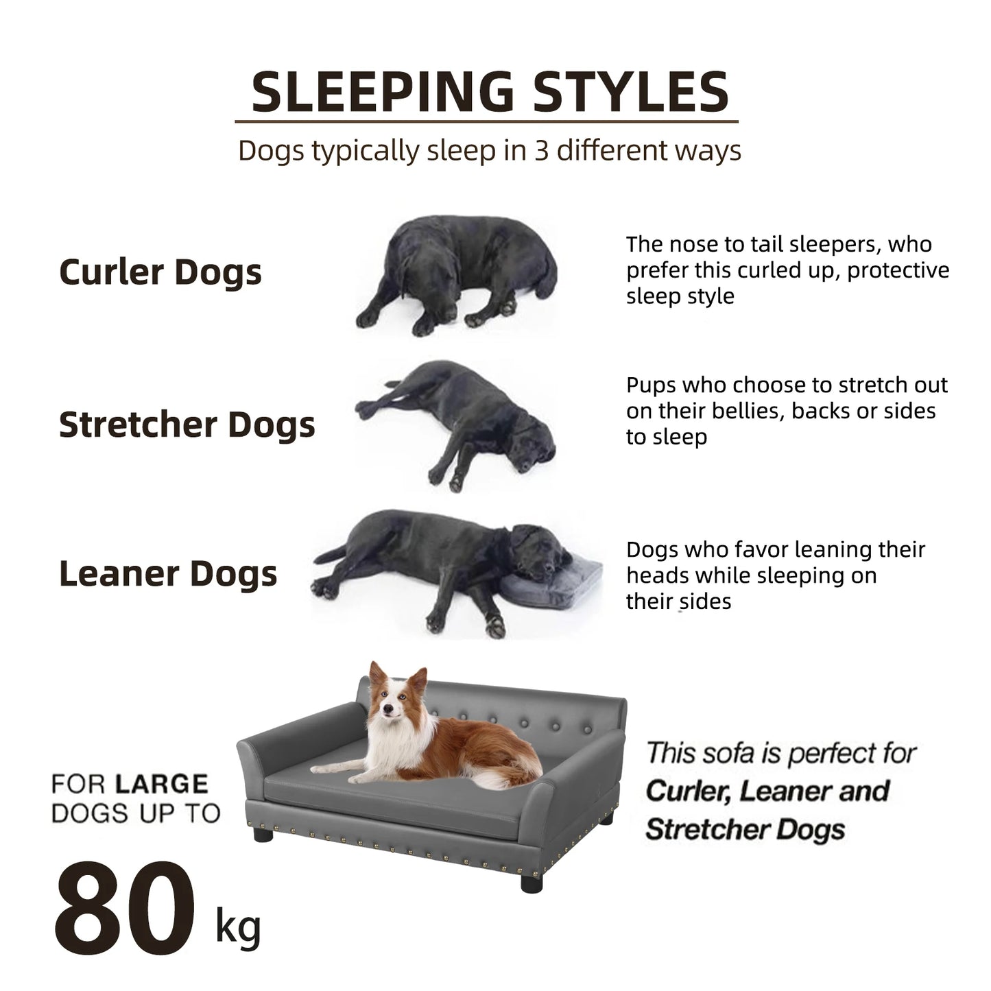 Elevated Dog Sofa Bed with Removable Cushion & Leather Cover