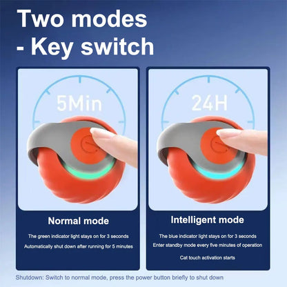 Smart Interactive Cat Toy Ball – USB Rechargeable