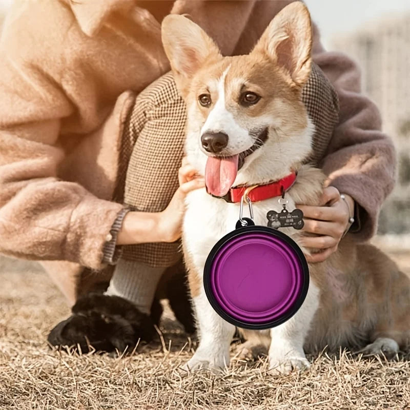 Portable Pet Food Bowl – Collapsible TPR Silicone Travel Bowl for Dogs & Cats