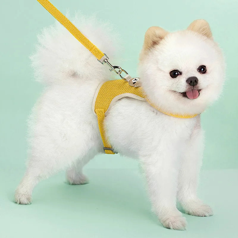 Adjustable Pet Harness & Leash Set – Comfort Vest for Small & Medium Dogs & Cats