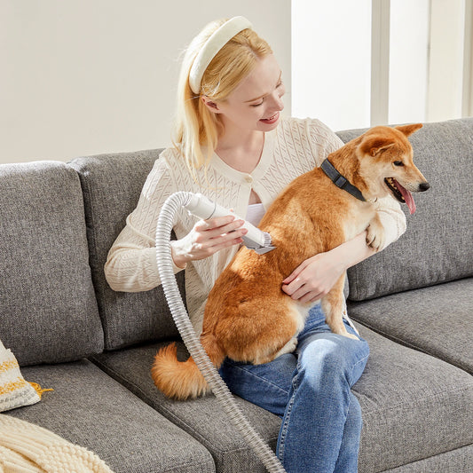 JHK 2.5L Haustierpflege-Staubsauger-Set – Akku-Schermaschine mit 3 Saugmodi & 5 Werkzeugen für Hunde & Katzen