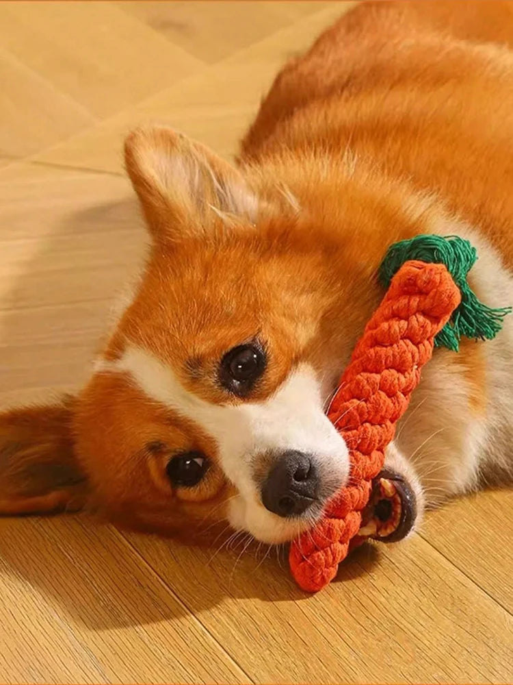 Cotton Rope Knot Dog Toy – Durable Teeth Cleaning Toy for Small & Medium Dogs