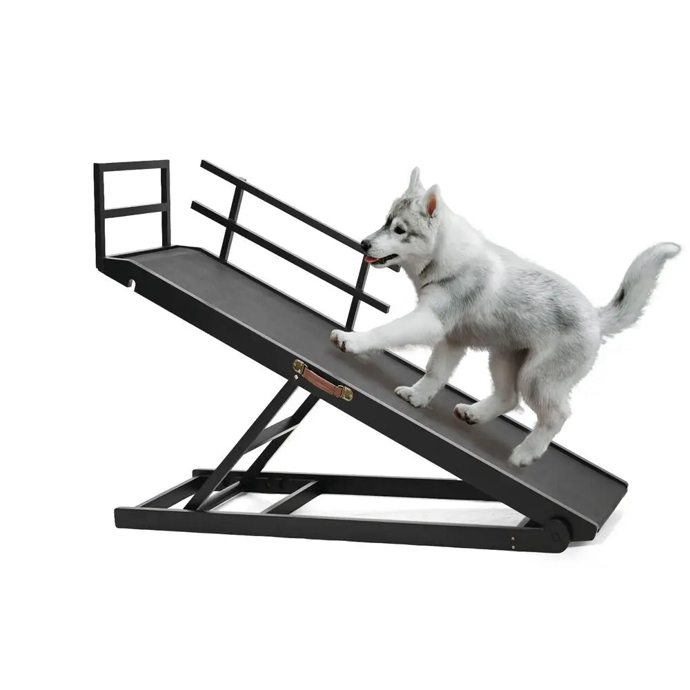 Folding Dog Ramp – For Bed, Car, Couch & Truck