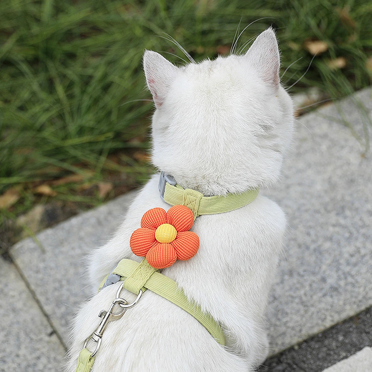 Adjustable Pet Harness & Leash Set – Breathable Walking Vest for Cats & Small Dogs