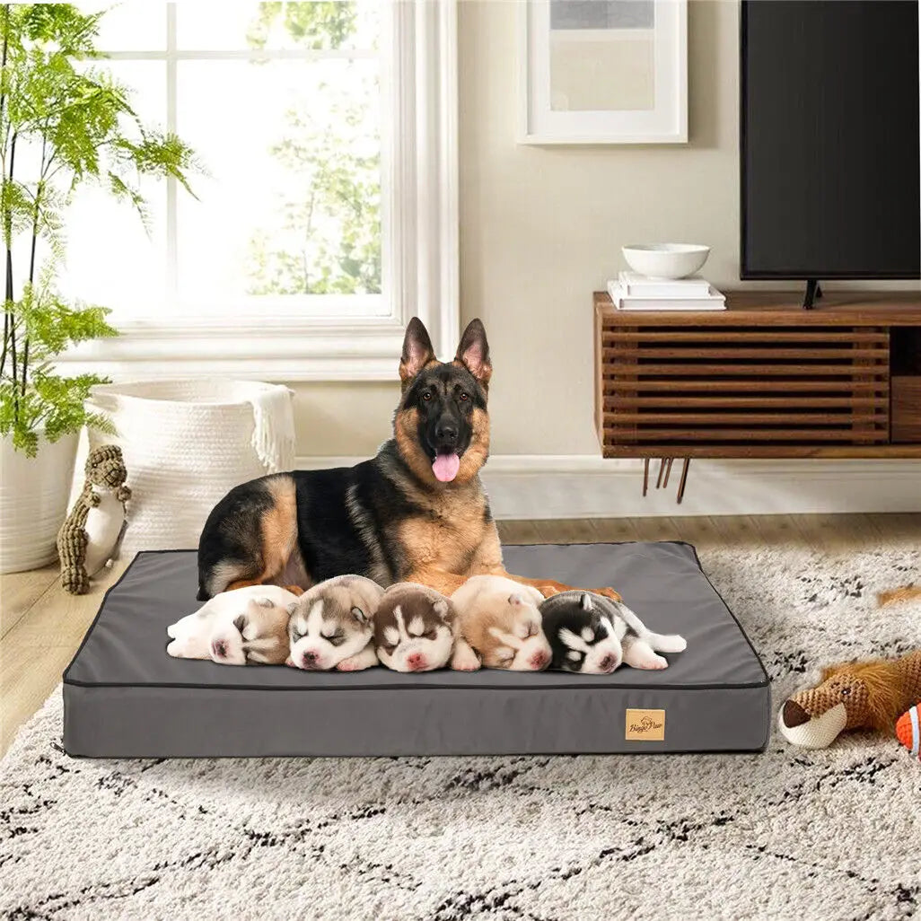 Jumbo Orthopedic Dog Bed with Memory Foam & Waterproof Cover
